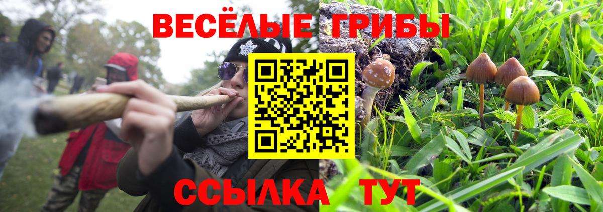 Галлюциногенные грибы Psilocybe  купить наркотик  Белая Калитва  Псилоцибиновые грибы ЛСД  Вход с VPN 